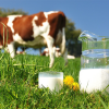 Baltijas parlamentārieši aicina Eiropas Komisiju atbalstīt Baltijas piena ražotājus